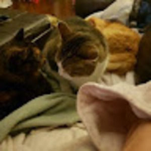 Meet your Posher, Tammy